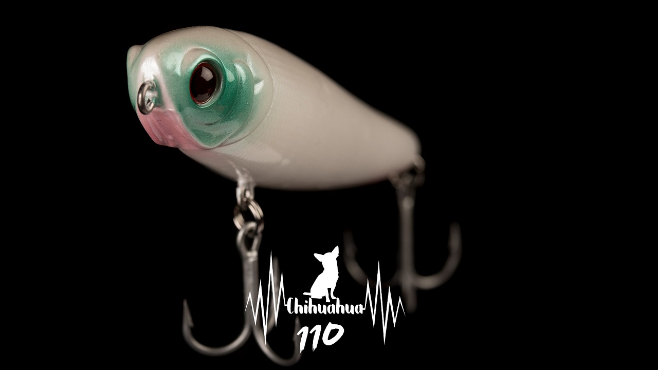 CHIHUAHUA 110 84