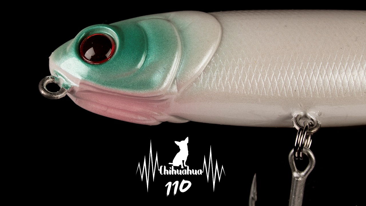 CHIHUAHUA 110 84