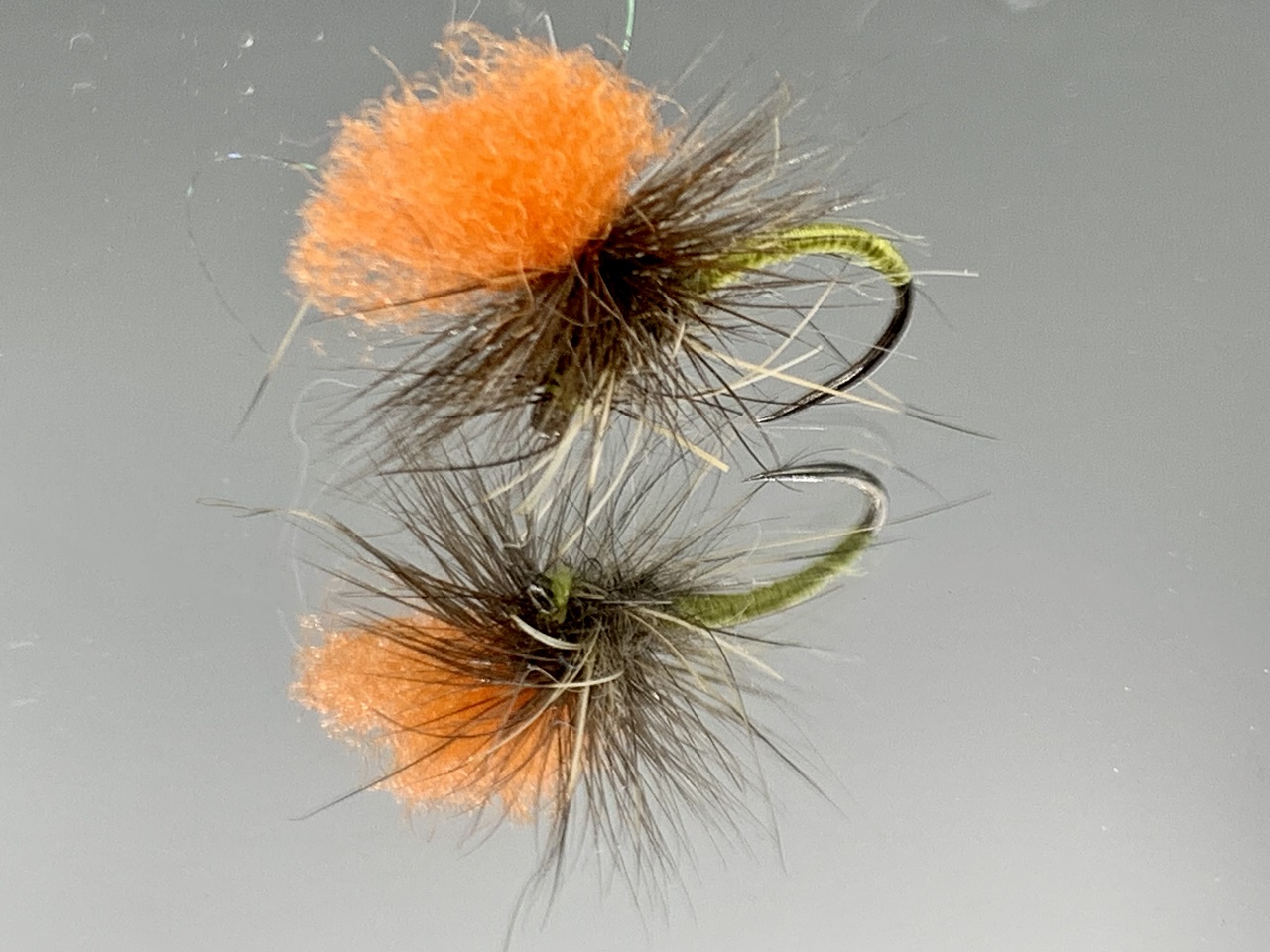 Seche-31