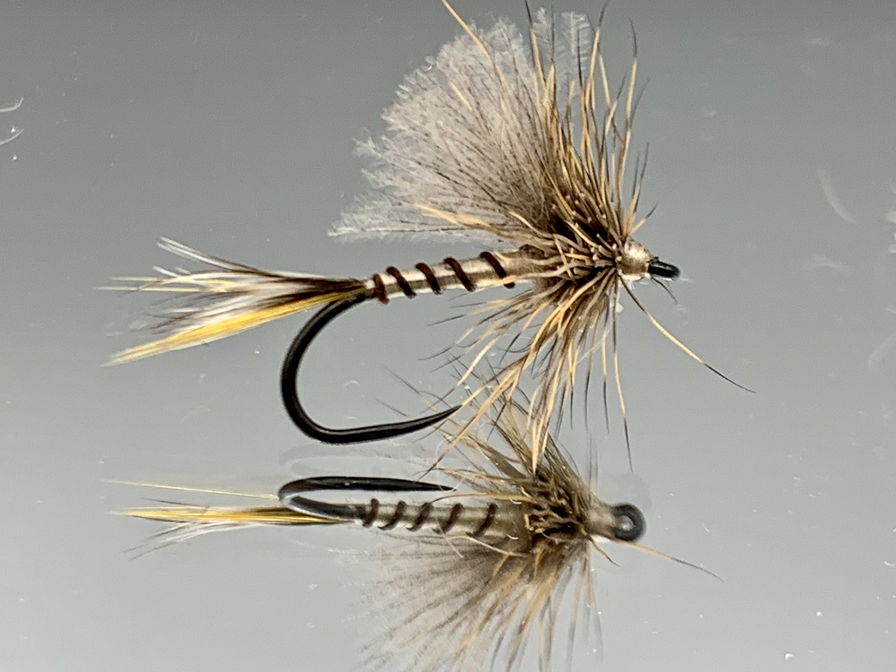 Seche-30