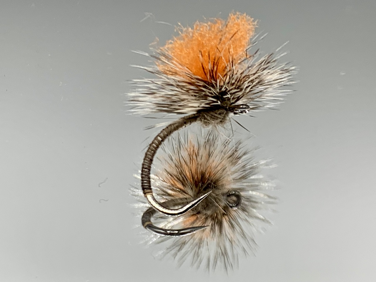 Seche-27