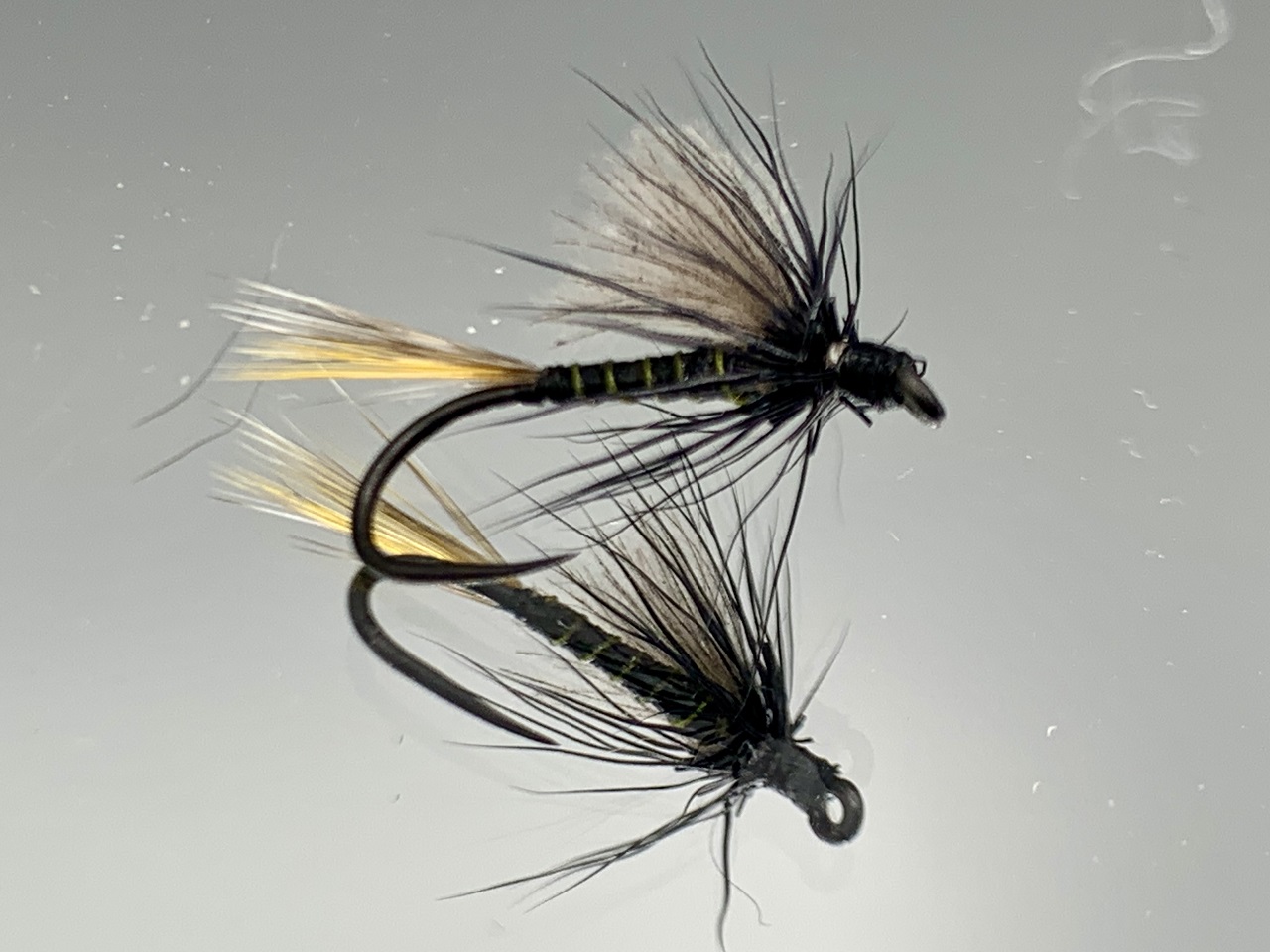 Seche-29