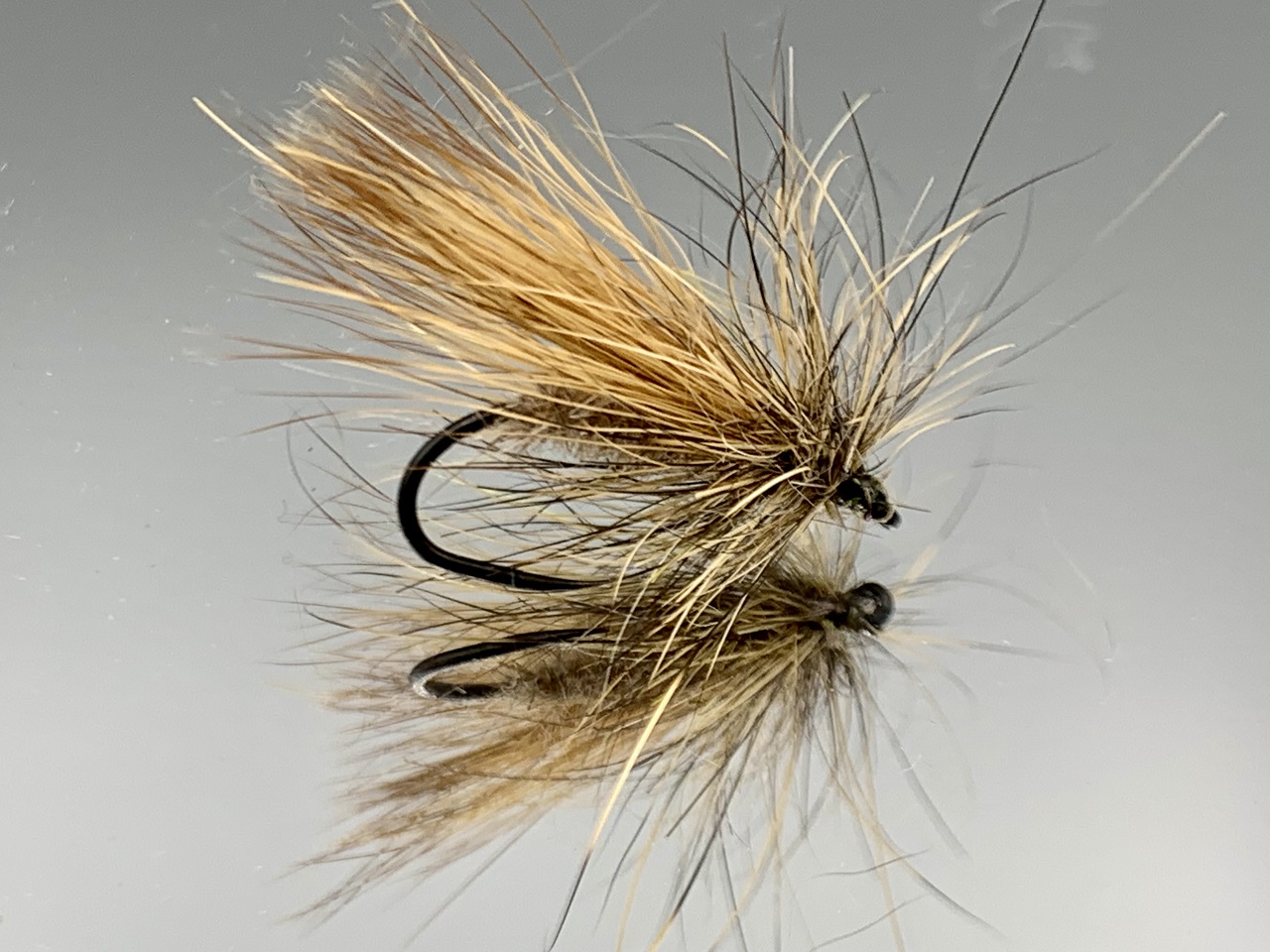 Seche-16