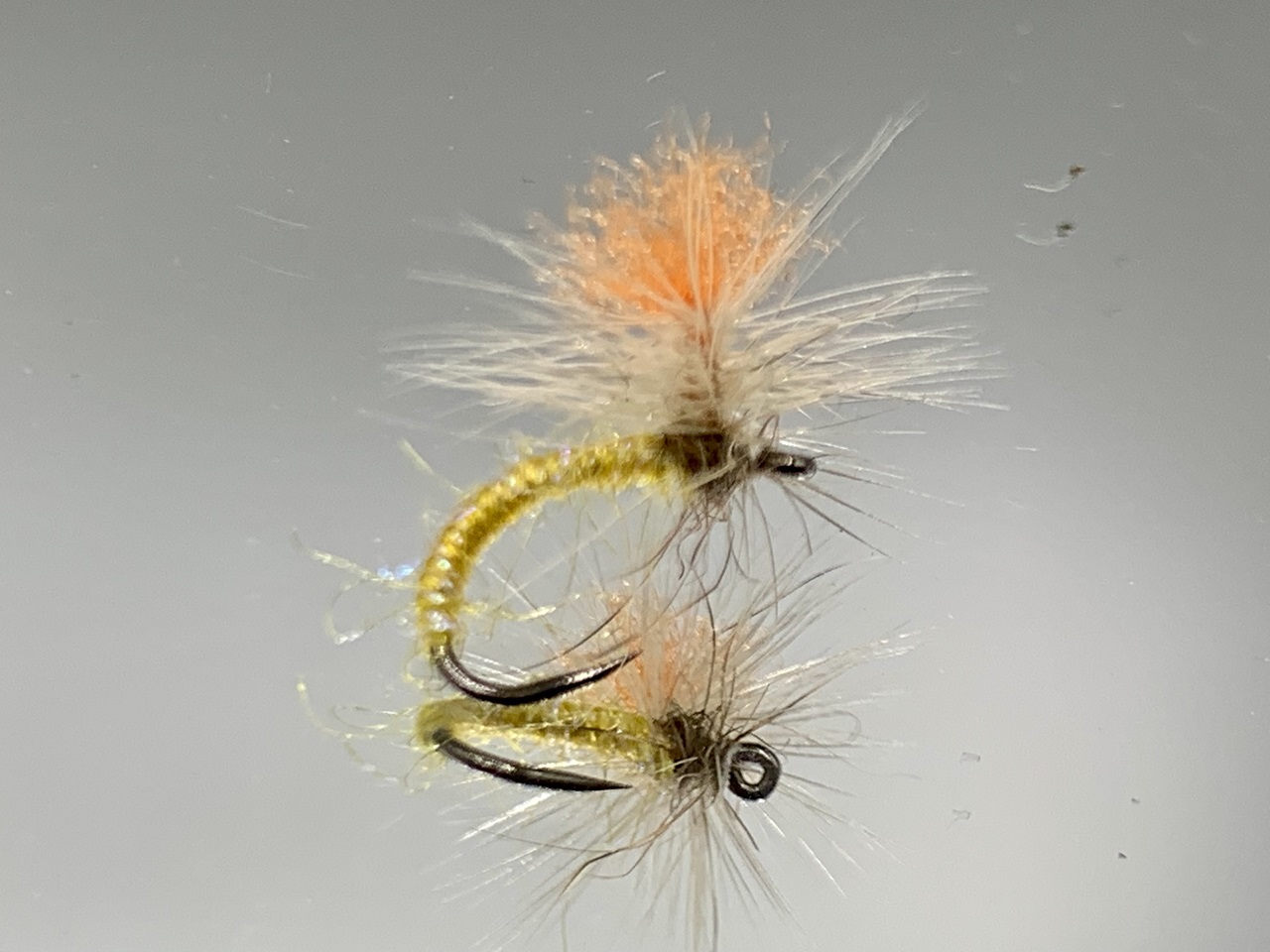 Seche-43