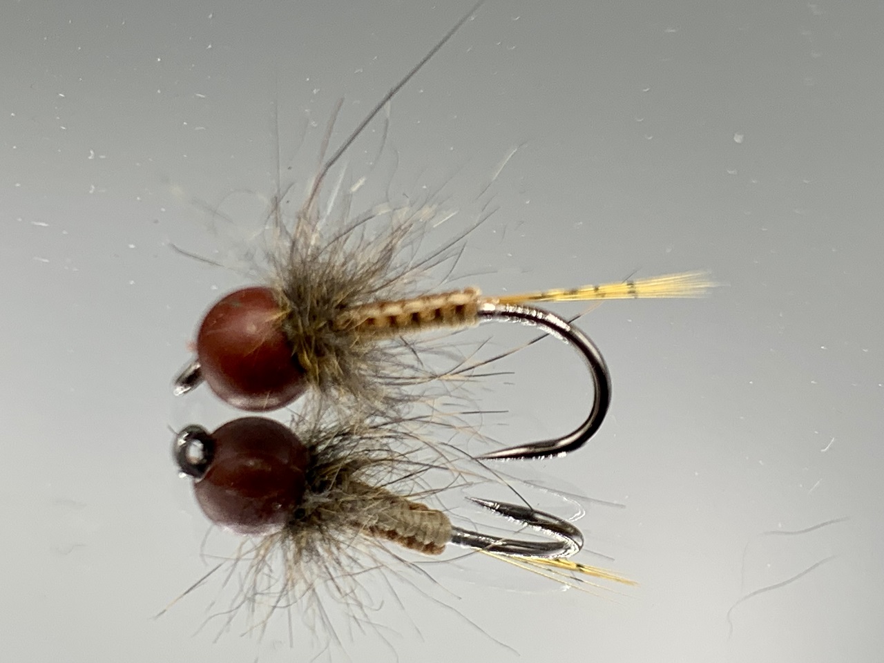 Nymph-25