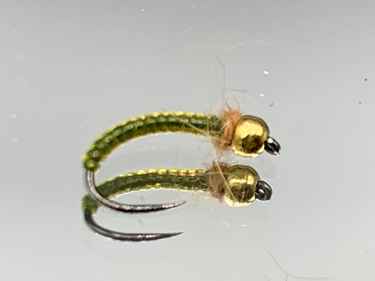 Nymph-27