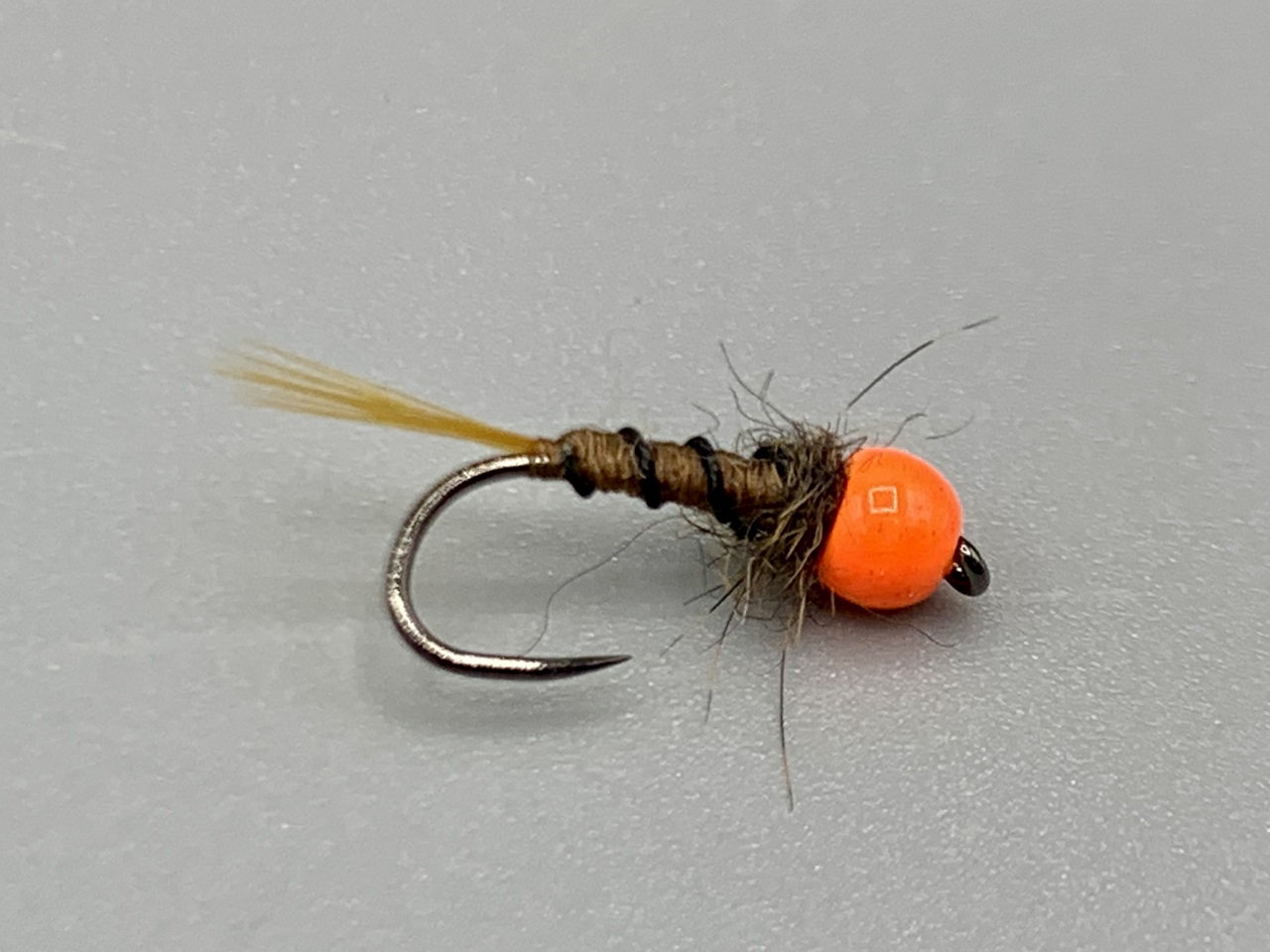 Nymph-31