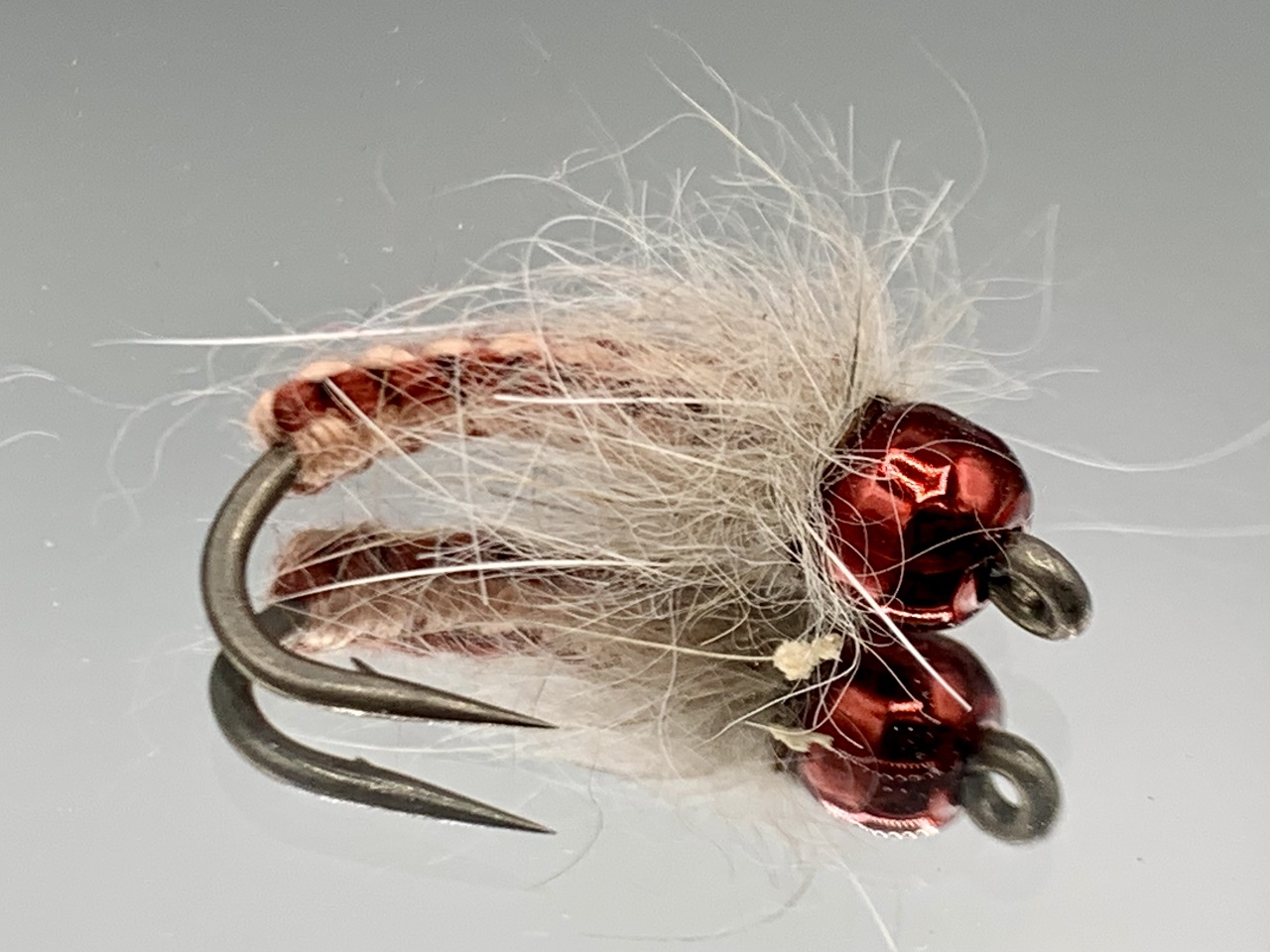 Nymph-44