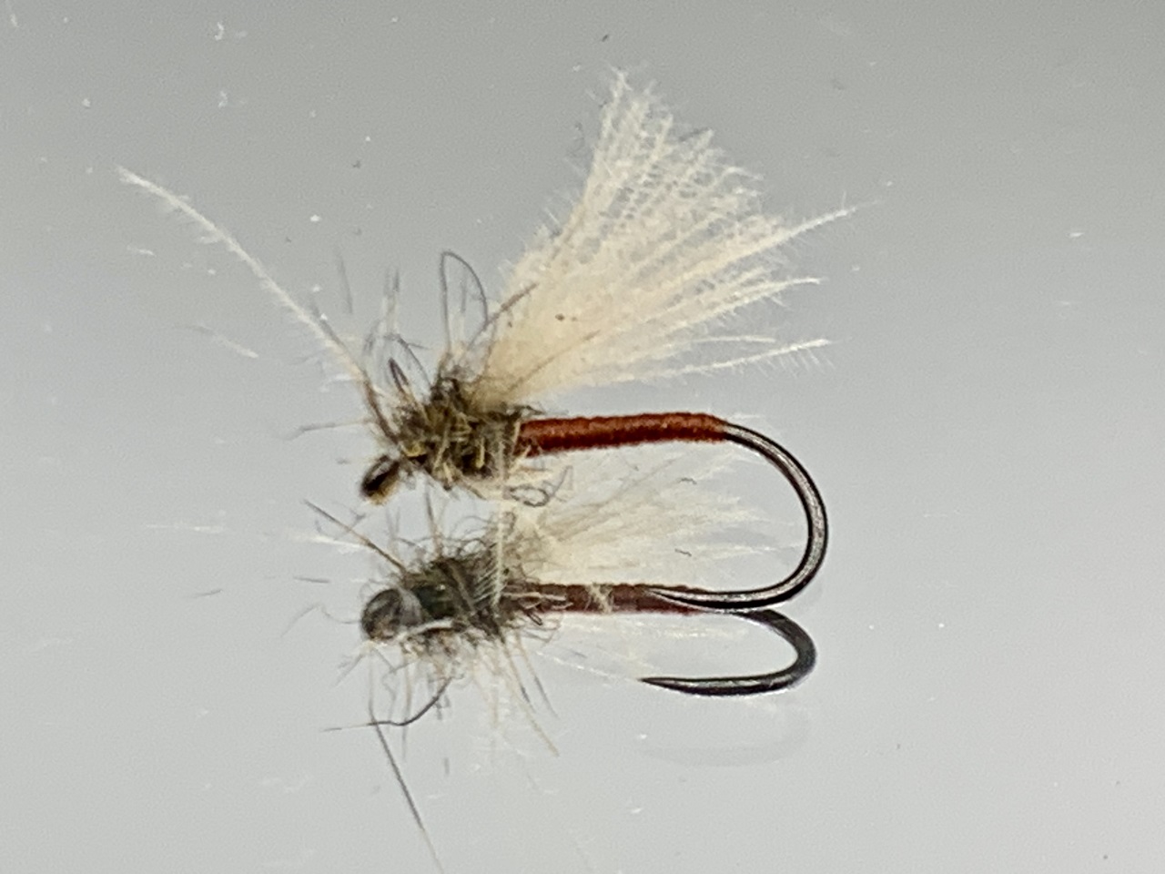 Seche-20