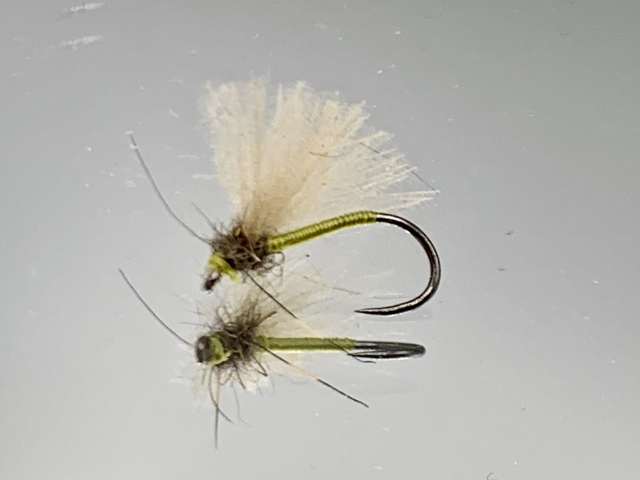 Seche-22