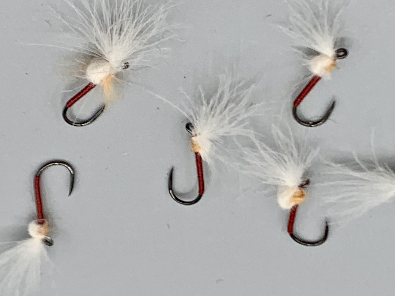 Seche-24