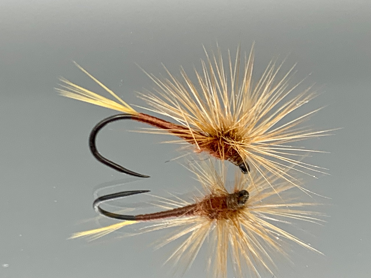 Seche-35
