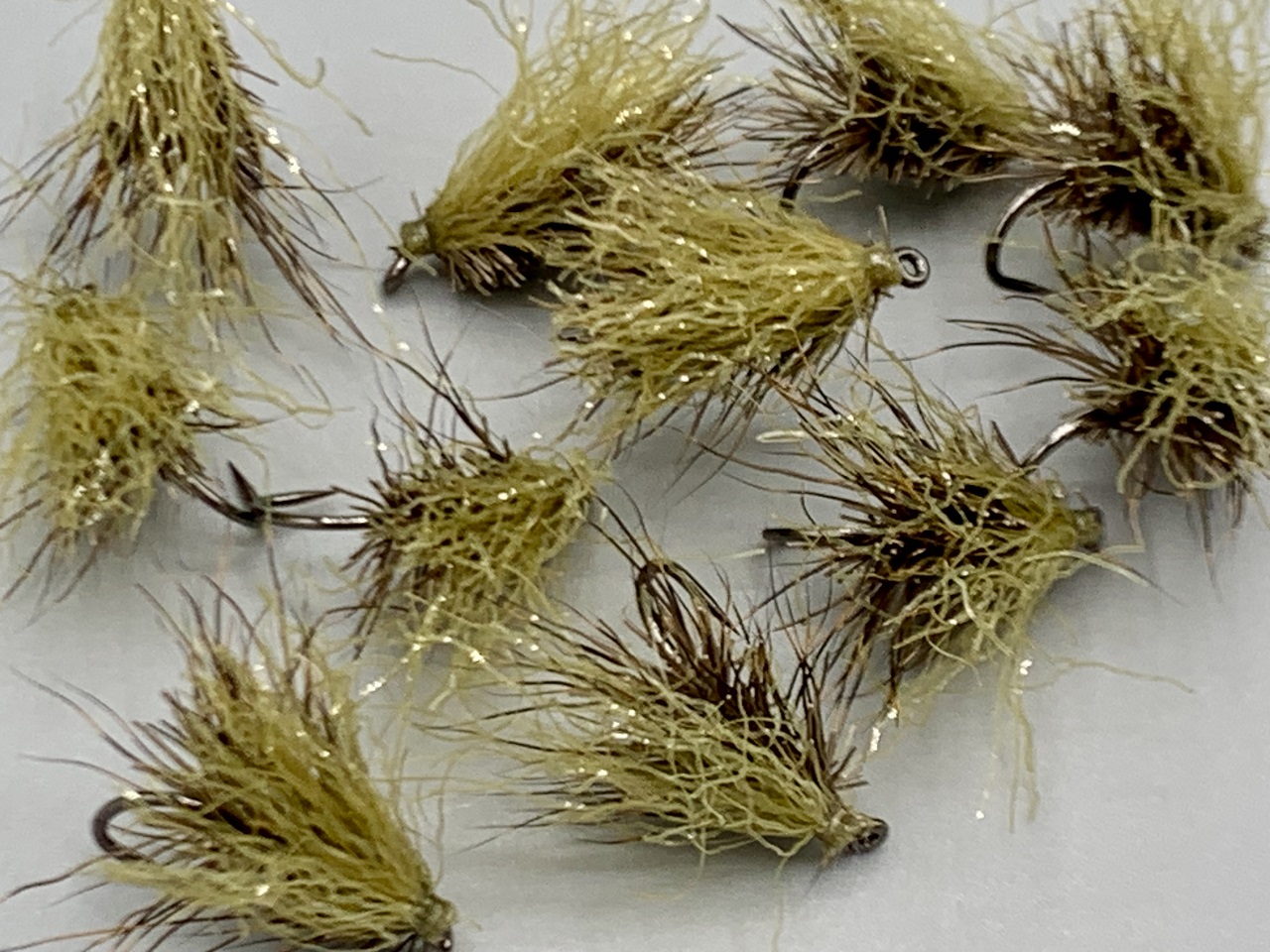 Sedge-42