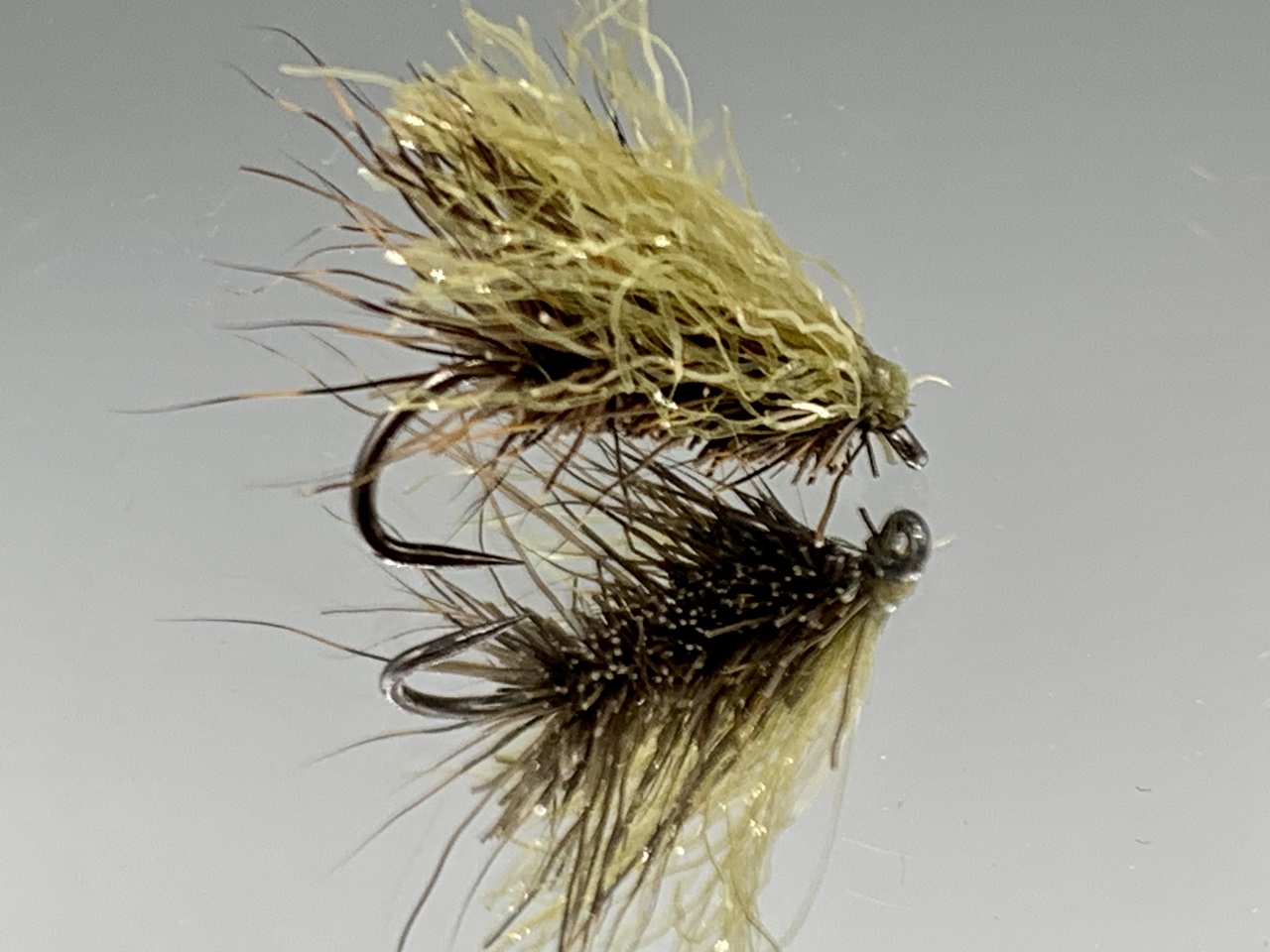 Sedge-42
