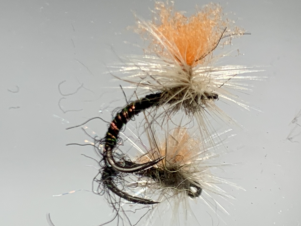 Seche-45