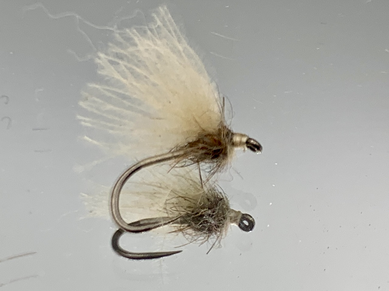 Seche-46
