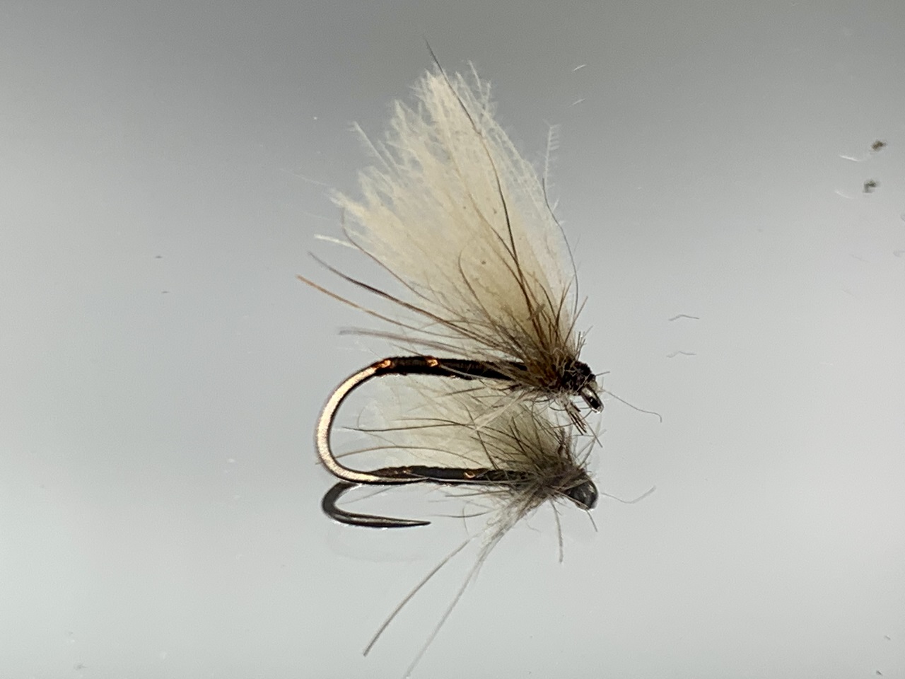 Seche-48