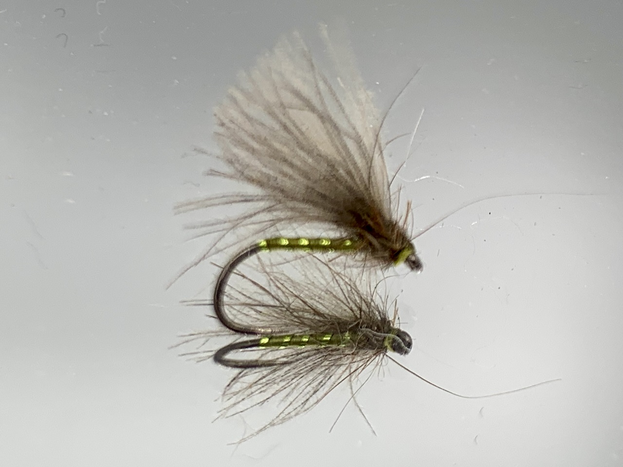Seche-50