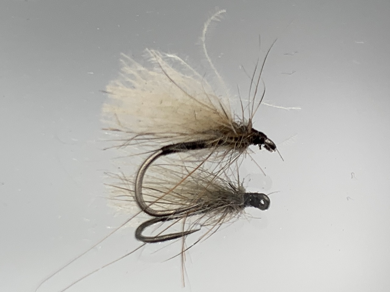 Seche-51