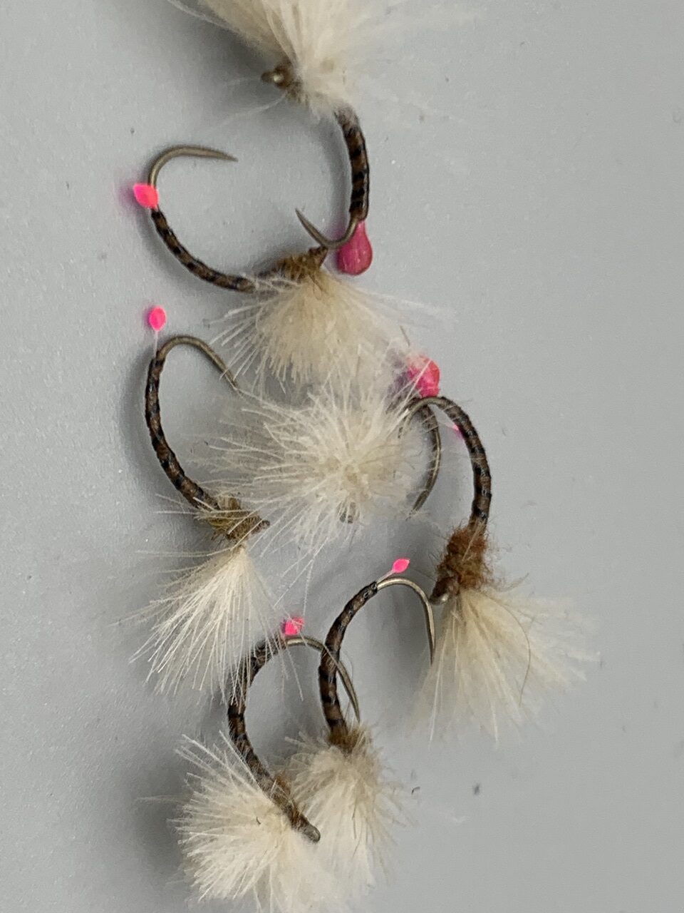 Seche-52 grayling egg