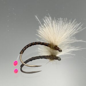 Seche-52 grayling egg