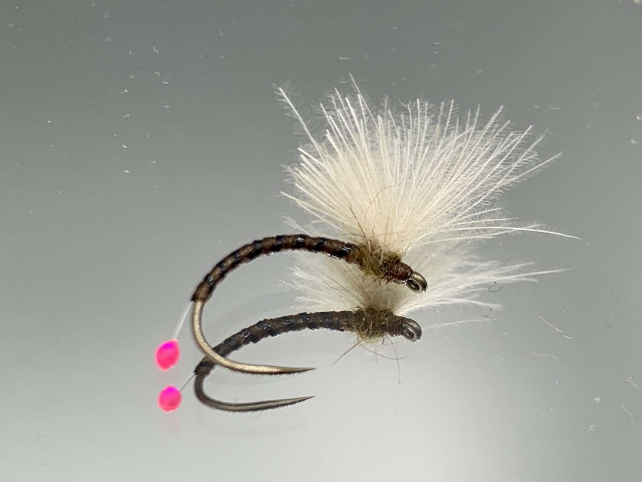 Seche-52 grayling egg