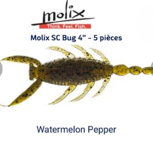 Molix SC Bug 4 » – 5 pièces