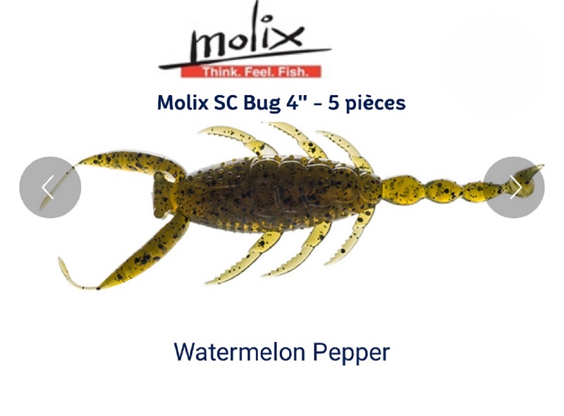 Molix SC Bug Watermelon Pepper